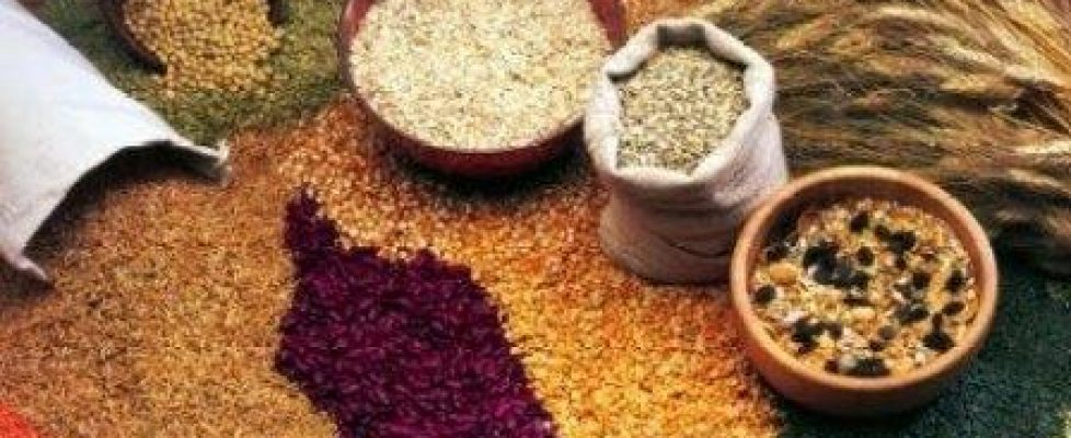 cereale-regim-oshowa